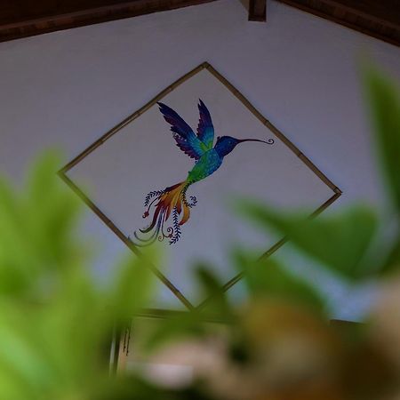 Lodge Mirador - Great Swimming Pool - Kitchen - Bbq - Netflix Tajo Alto エクステリア 写真