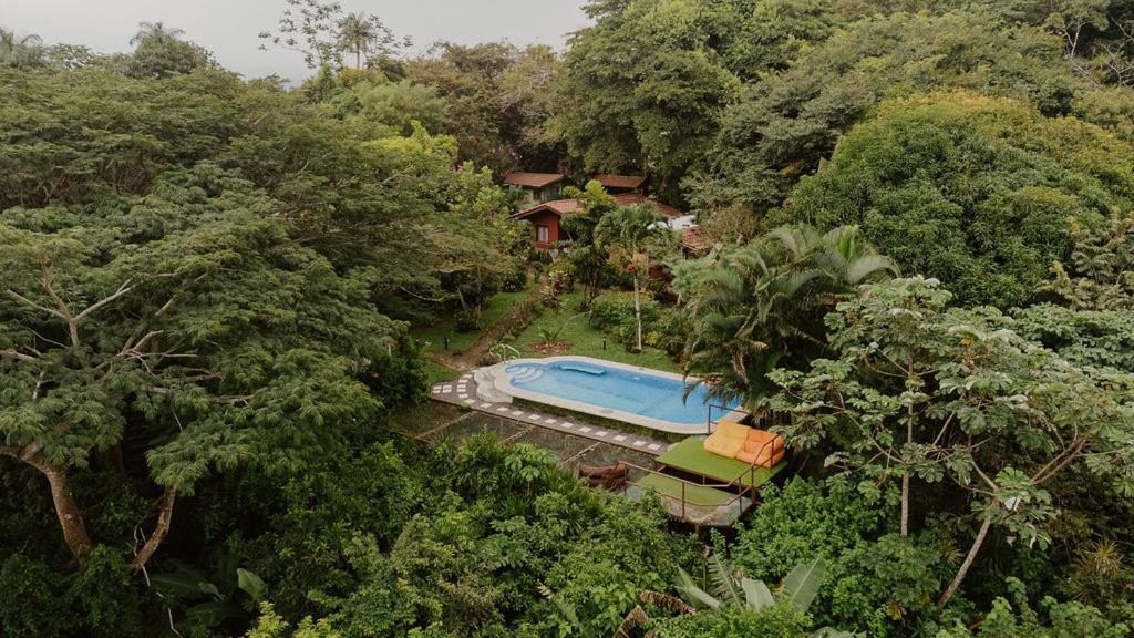 Lodge Mirador - Great Swimming Pool - Kitchen - Bbq - Netflix Tajo Alto エクステリア 写真
