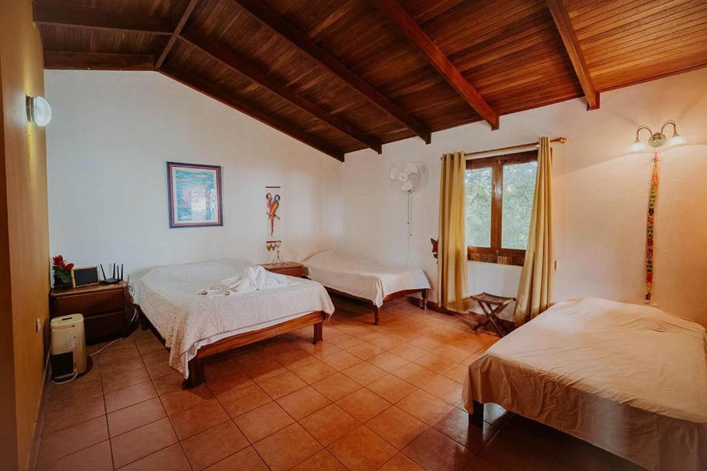 Lodge Mirador - Great Swimming Pool - Kitchen - Bbq - Netflix Tajo Alto エクステリア 写真