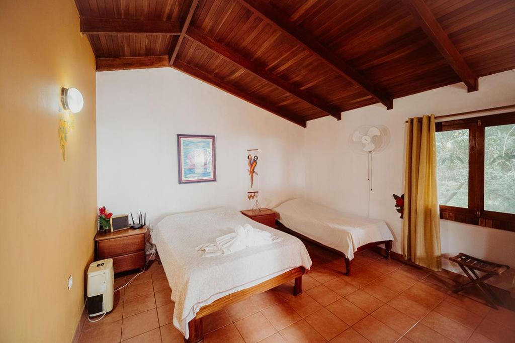 Lodge Mirador - Great Swimming Pool - Kitchen - Bbq - Netflix Tajo Alto エクステリア 写真