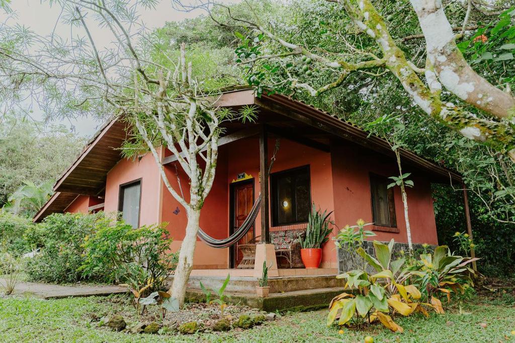 Lodge Mirador - Great Swimming Pool - Kitchen - Bbq - Netflix Tajo Alto エクステリア 写真