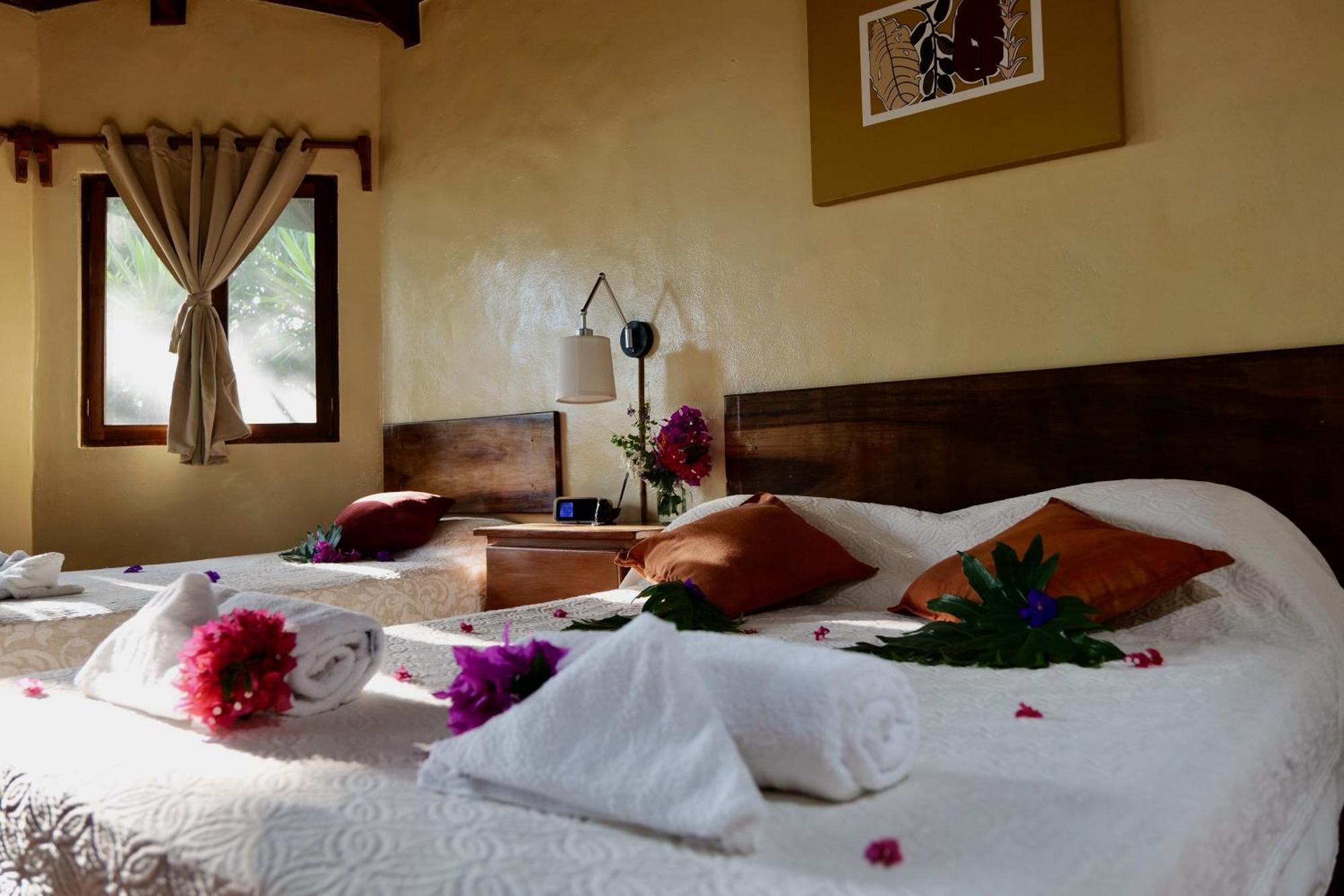 Lodge Mirador - Great Swimming Pool - Kitchen - Bbq - Netflix Tajo Alto エクステリア 写真