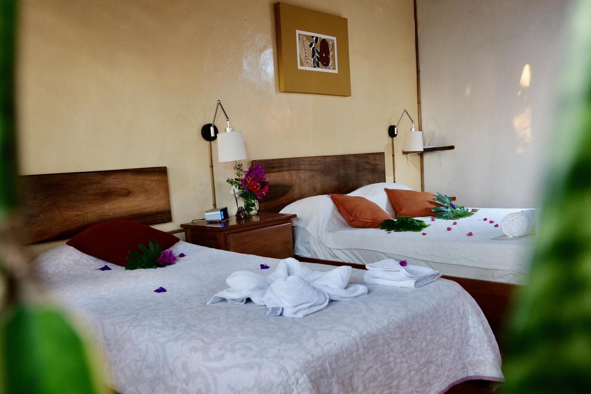 Lodge Mirador - Great Swimming Pool - Kitchen - Bbq - Netflix Tajo Alto エクステリア 写真